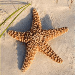 Vacation Time of Hilton Head Island, Inc.