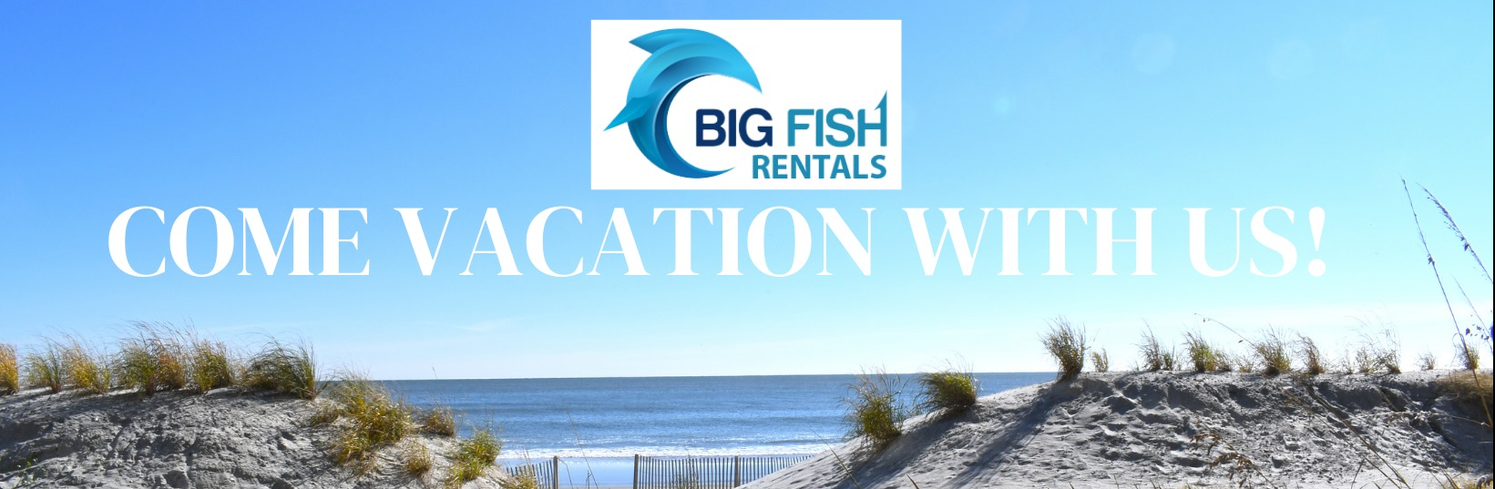 To Rent Fish Big Fish Rentals Property Manager | Savvy